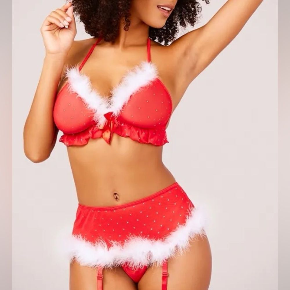 NEW NIP XL RSLOVE Sparkly 4pc Sexy Santa Fluffy Lingerie Underwear Set Christmas